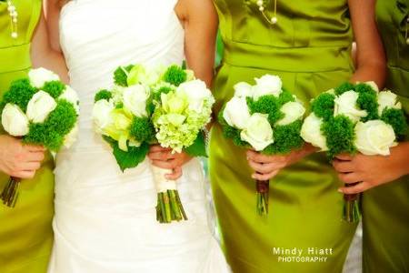 Mindy Hiatt Photography