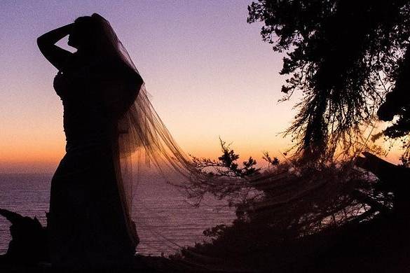 Create a beautiful silhouette! Wedding gown & veil at Della Curva. Southern California's first & finest plus-size bridal salon.