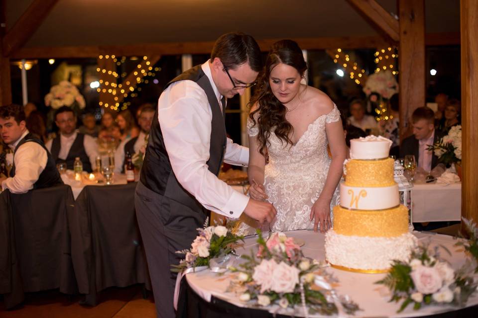Reception photos, cake cutting at Les Bourgeois Vineyards in Rocehport MO.