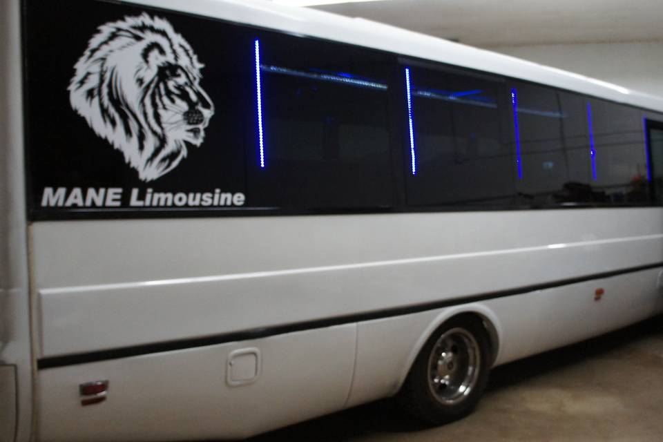 MANE Limousine & Party Bus