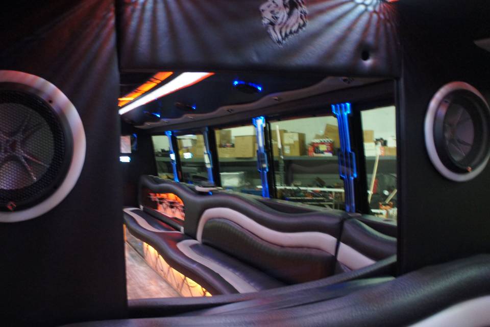 MANE Limousine & Party Bus