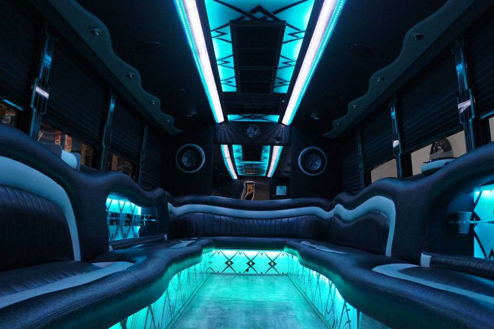 MANE Limousine & Party Bus