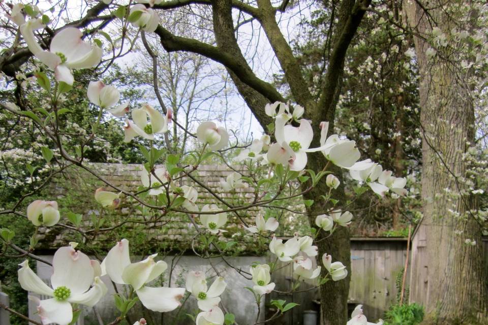 Wyck Historic House & Garden