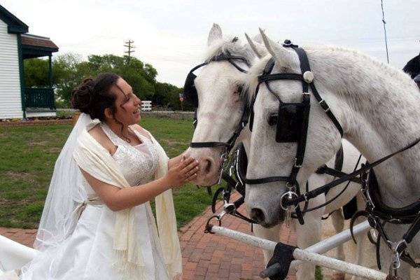 Arrive at the beautiful victorian gazebo via traditional horse and carriage.  How romantic!