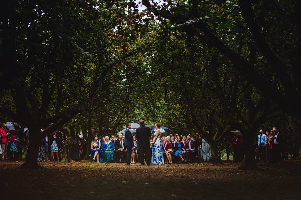 Orchard wedding