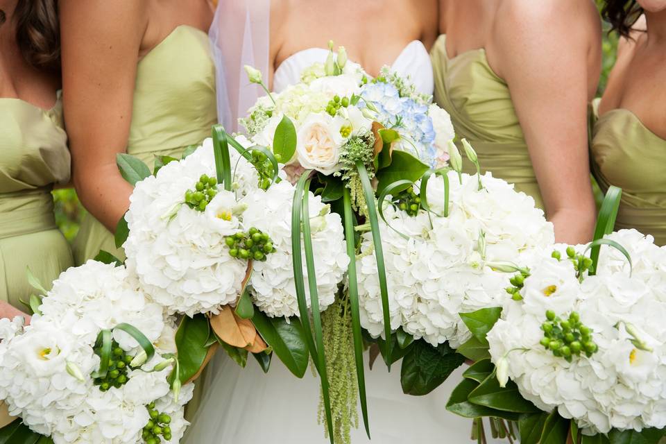 All white flowers