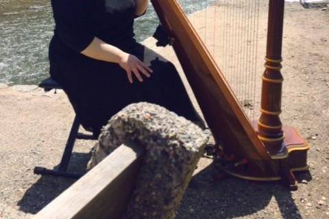 Cheryl Dungan Cunningham, Harpist