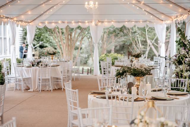 Dinner under the tent
