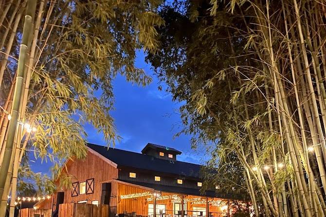 View from the Bamboo Entrance