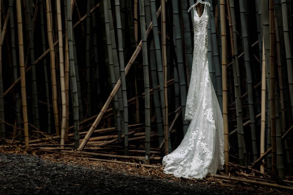 Dress in bamboo forest