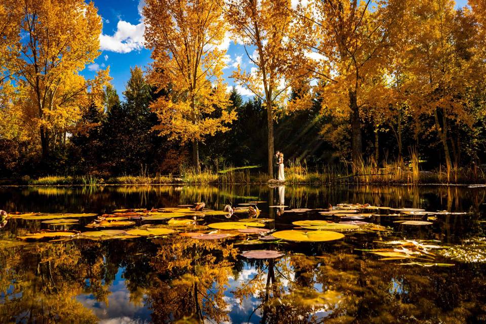 Steamboat Botanic Gardens