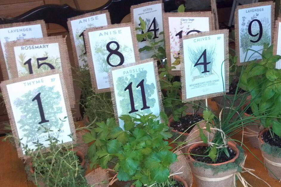 Table numbers set in fresh herb plantsin clay pots and wrapped in burlap with reindeer moss and raffia. Custom design by Lady Slipper Affairs  & Events.