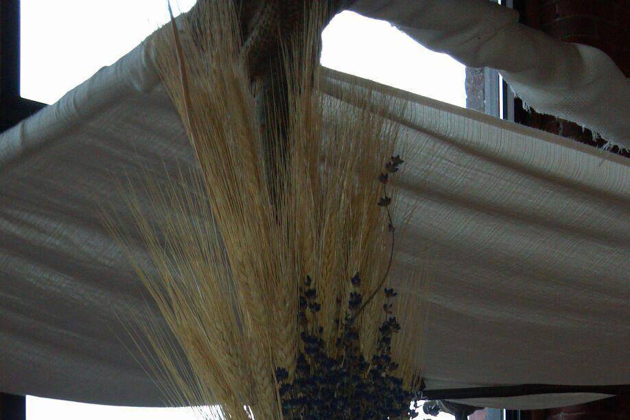 Natural chuppah accented with wheat and dried lavender bunches.