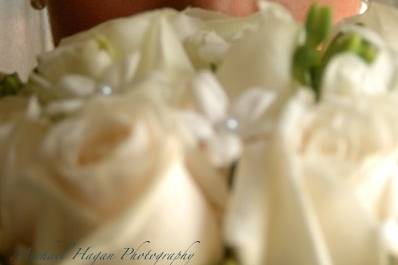 Michael Hagan Photography