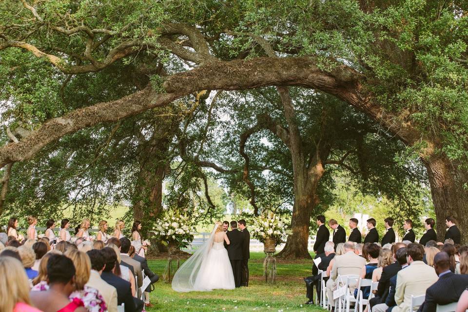 Wedding ceremony amongst the trees
