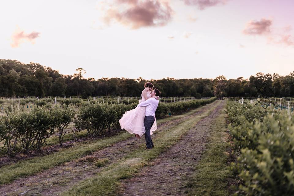 Field wedding