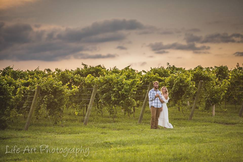 Groom and bride in the vineyard