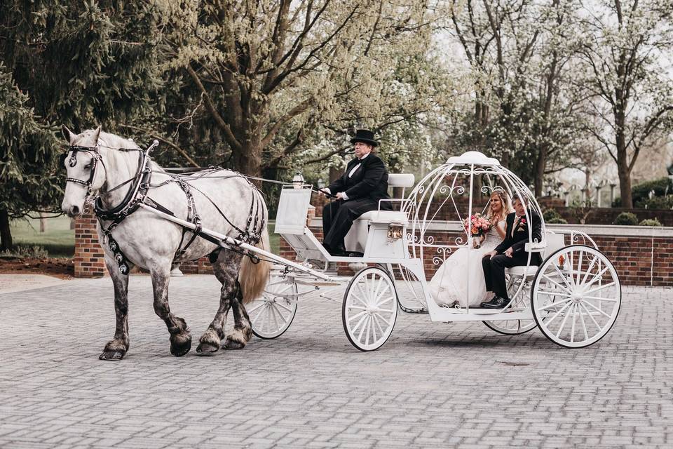 Fairy tale wedding