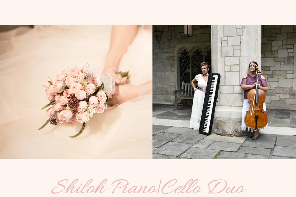 Shiloh Packages