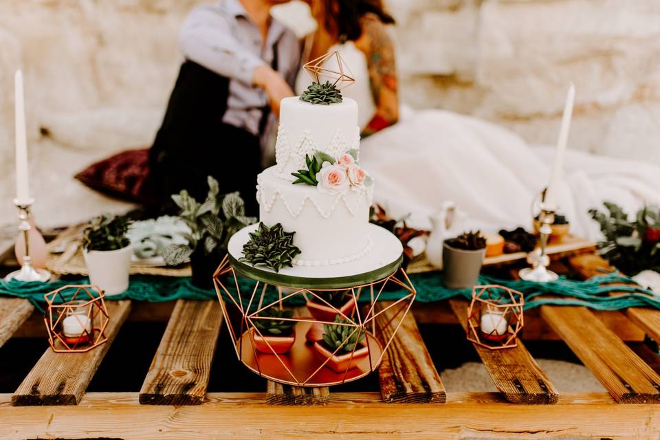 Succulents, roses, macrame