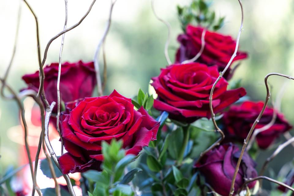 Roses
