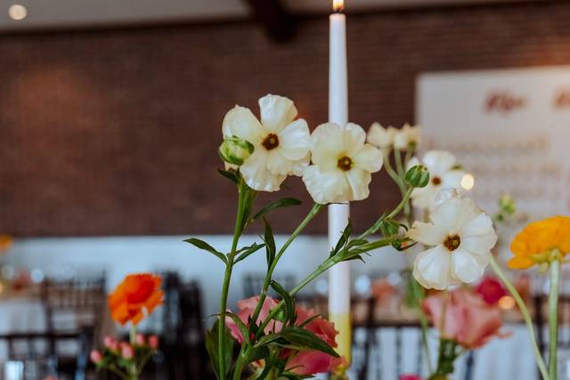 Modern, Colorful, Bud Vases