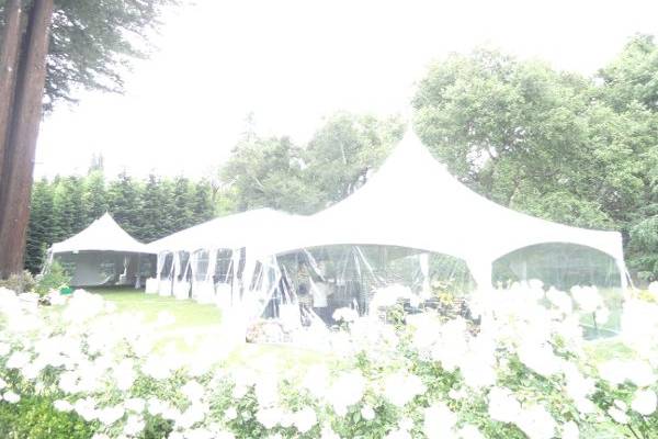 Party, Tents & Event Rentals