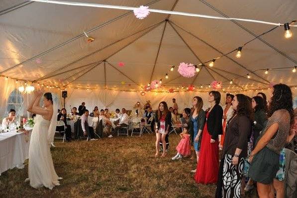 Party, Tents & Event Rentals