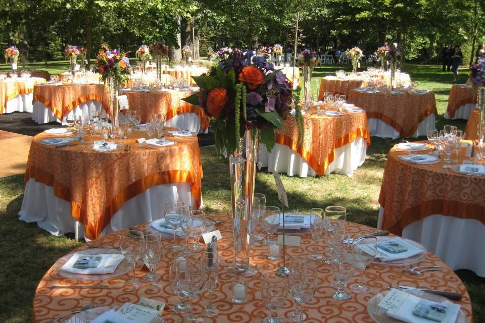 Party, Tents & Event Rentals