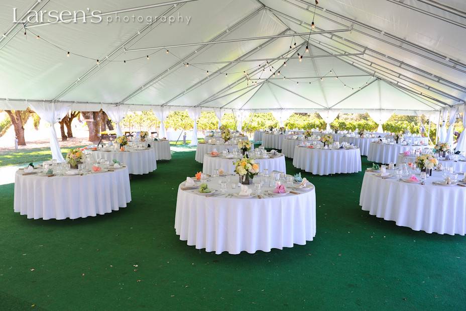 Party, Tents & Event Rentals