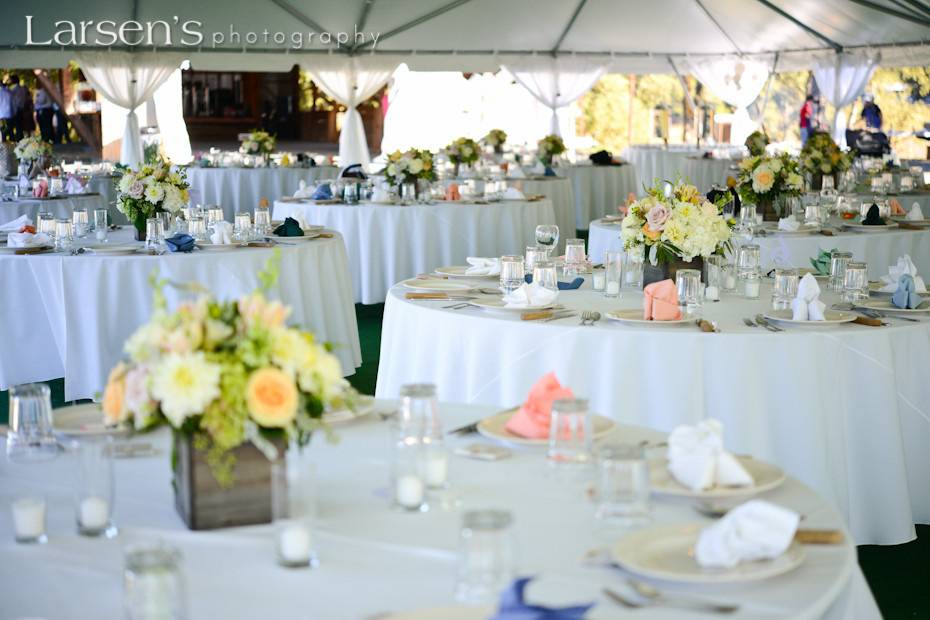 Party, Tents & Event Rentals