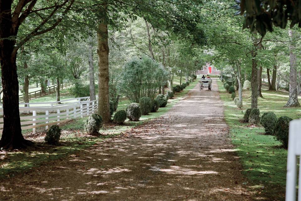 Driveway to wythe estate