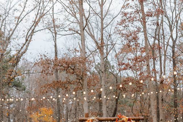 Late-Fall Woods Edge ceremony