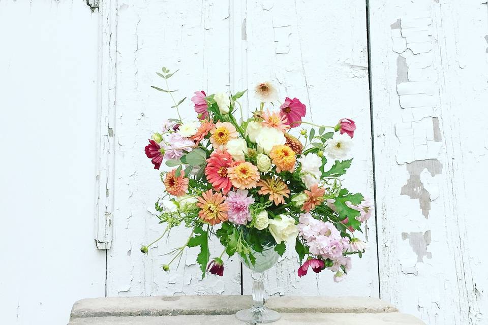 Whimsical blooms