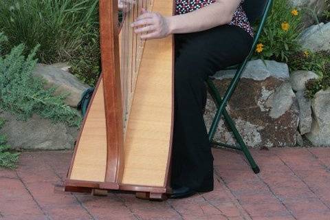 Ceremony Harpist
