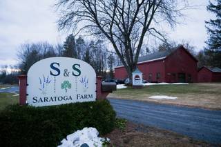 S&S Saratoga Farm