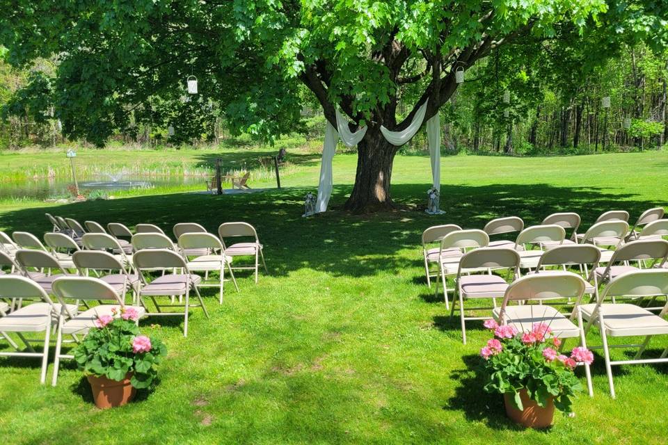 Ceremony in the Shade