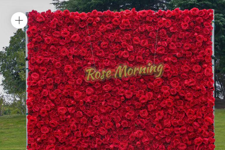 Red Rose Flower Wall