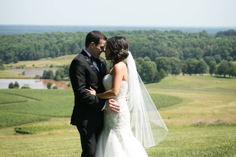 Bride and Groom Pictures