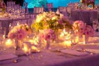 Sharon Fisher Events