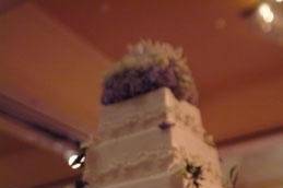 Sharon Fisher Events