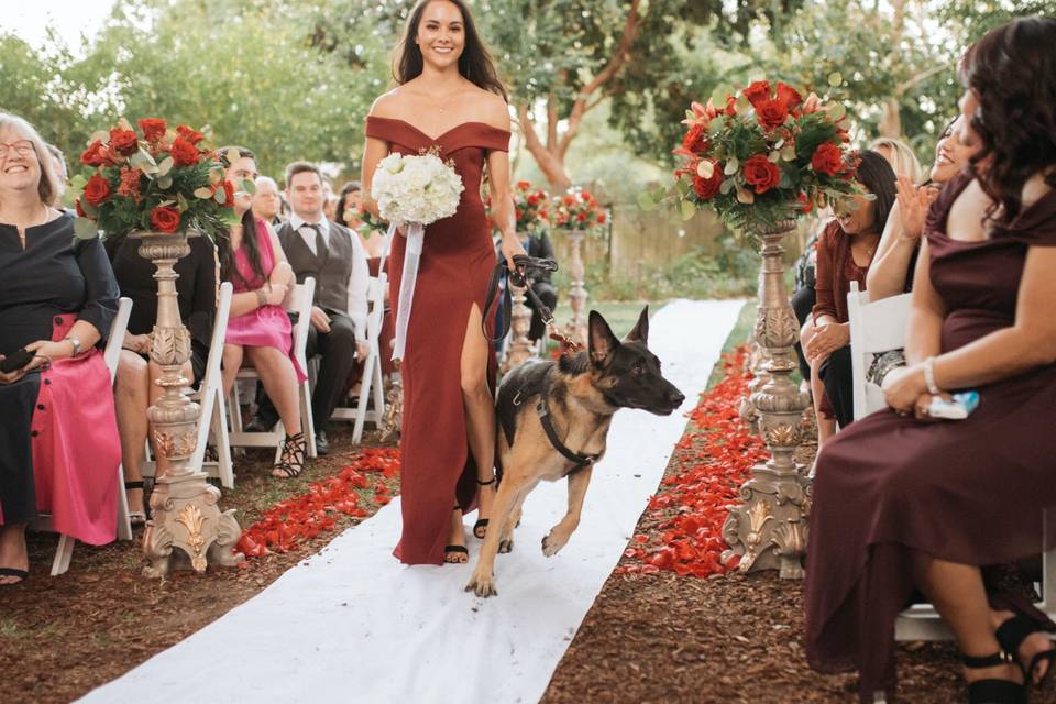 Bridesmaid with German Shepard