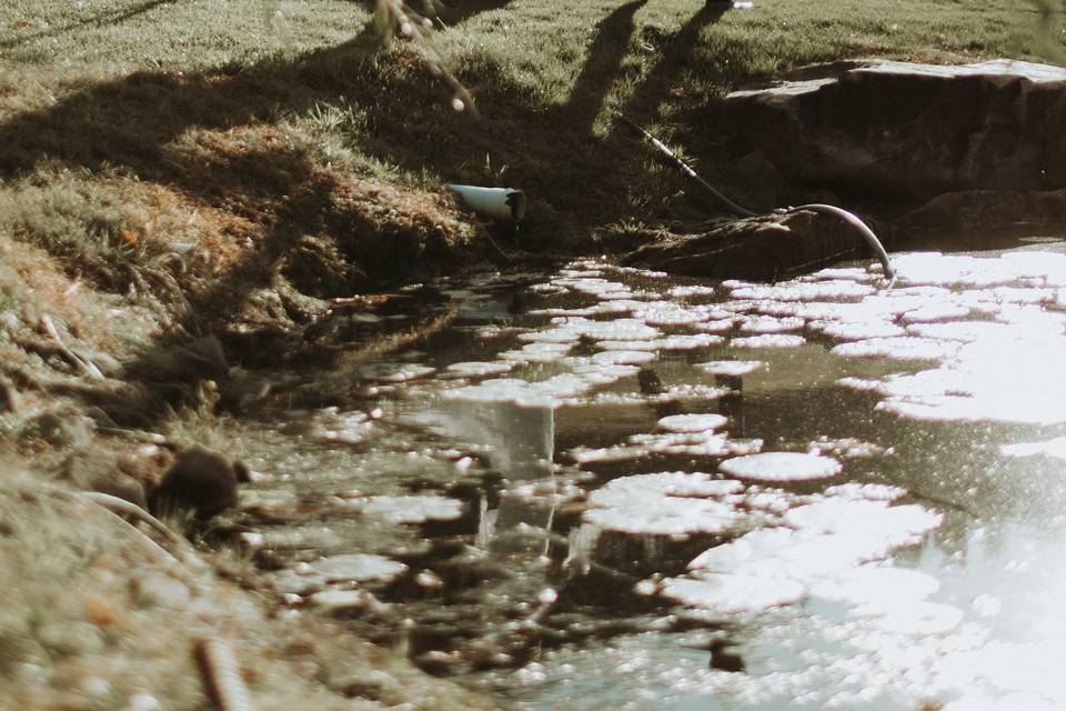 Ally + Drew: Pond