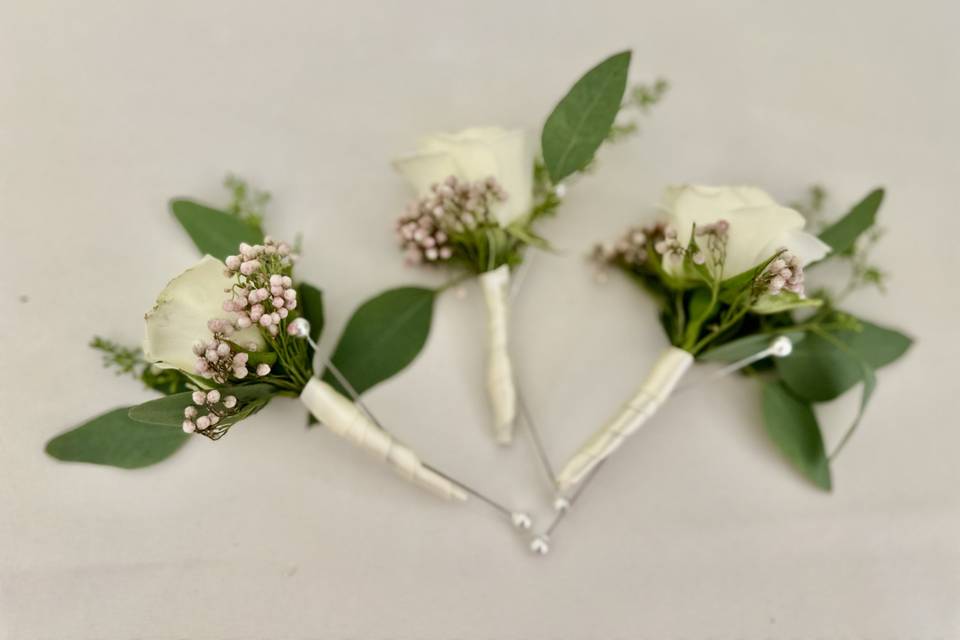 Ring bearer & usher bouts