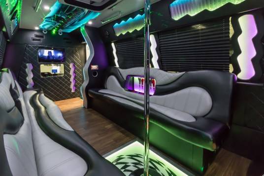 The Luxury Bus