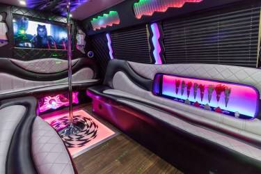 The Luxury Bus