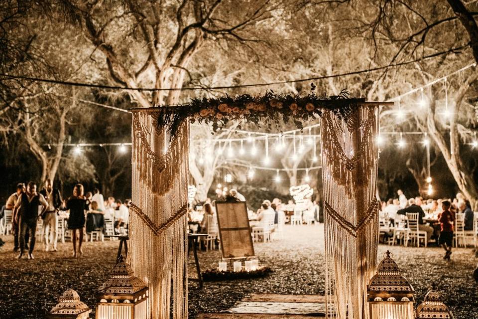 Olive grove wedding