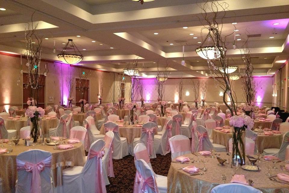 Pink uplights and decor