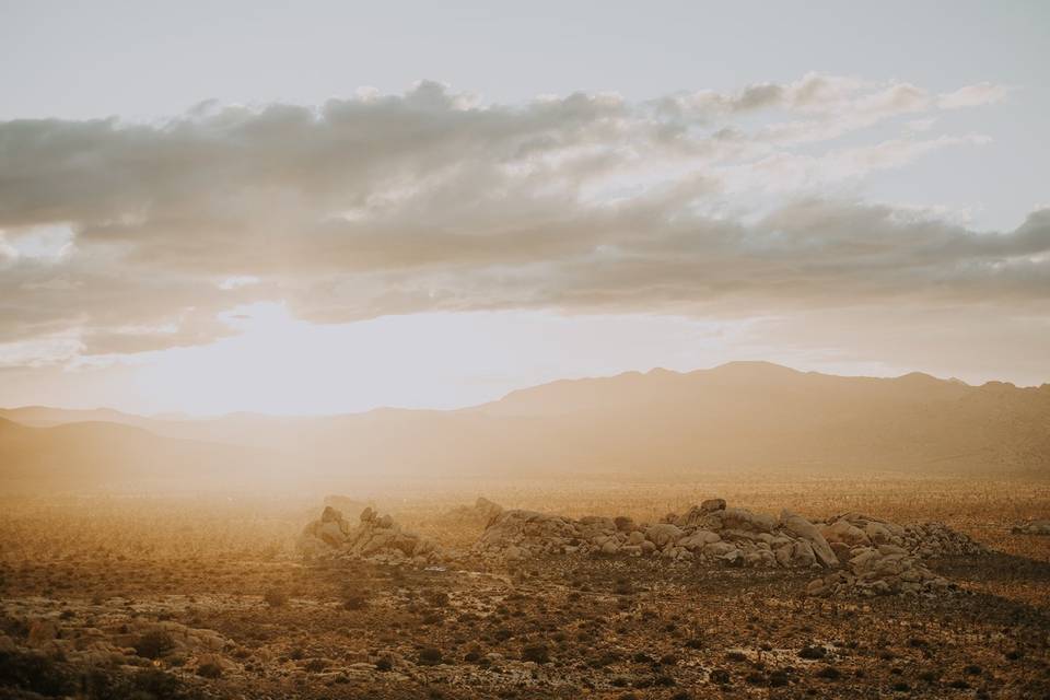 Joy + Hugo in Joshua Tree