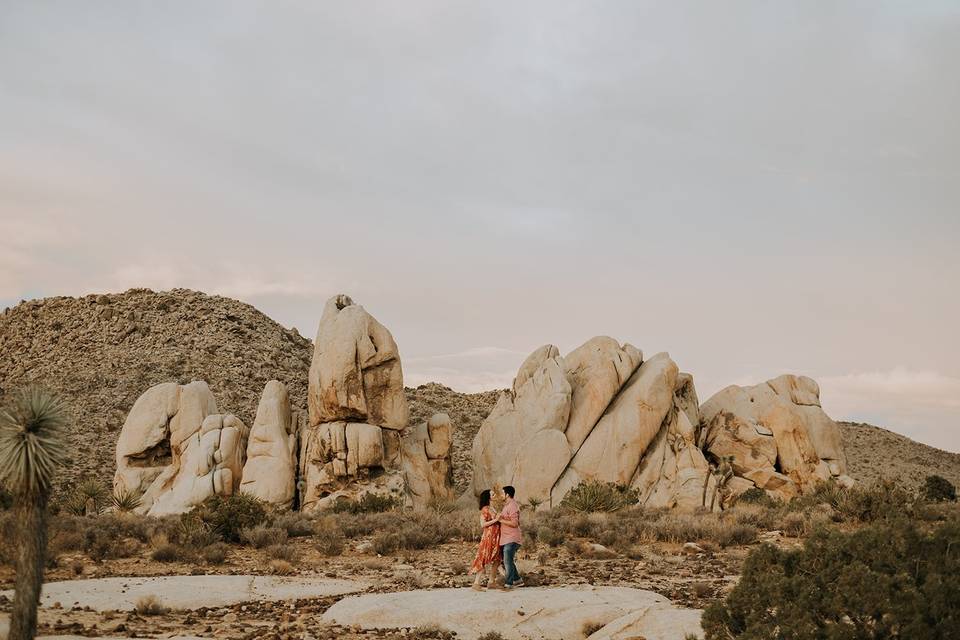 Joy + Hugo in Joshua Tree